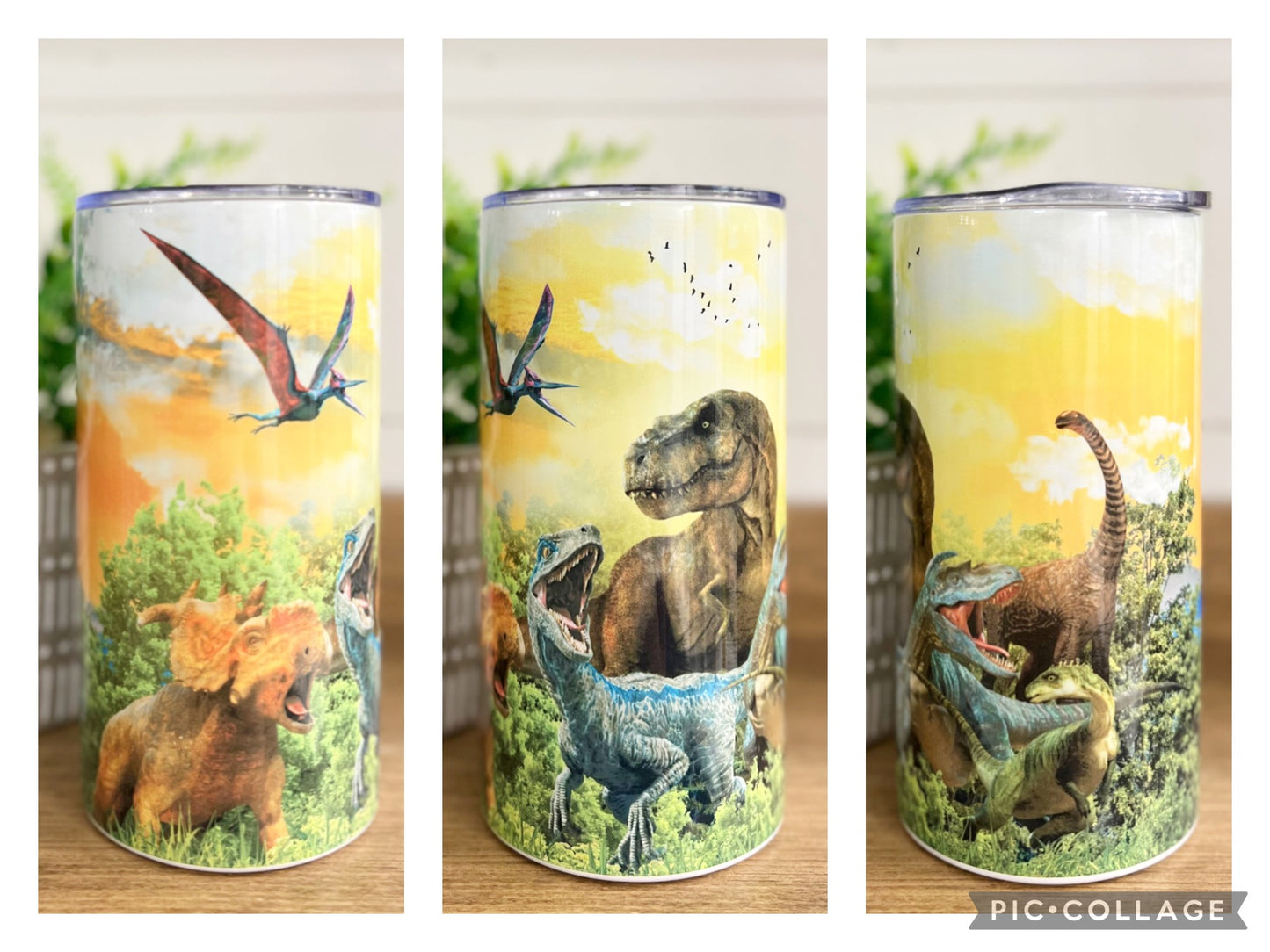 Dinosaur Scene 12 oz Tumbler