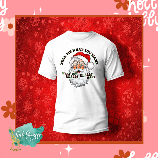 What You Really Want Santa Shirt